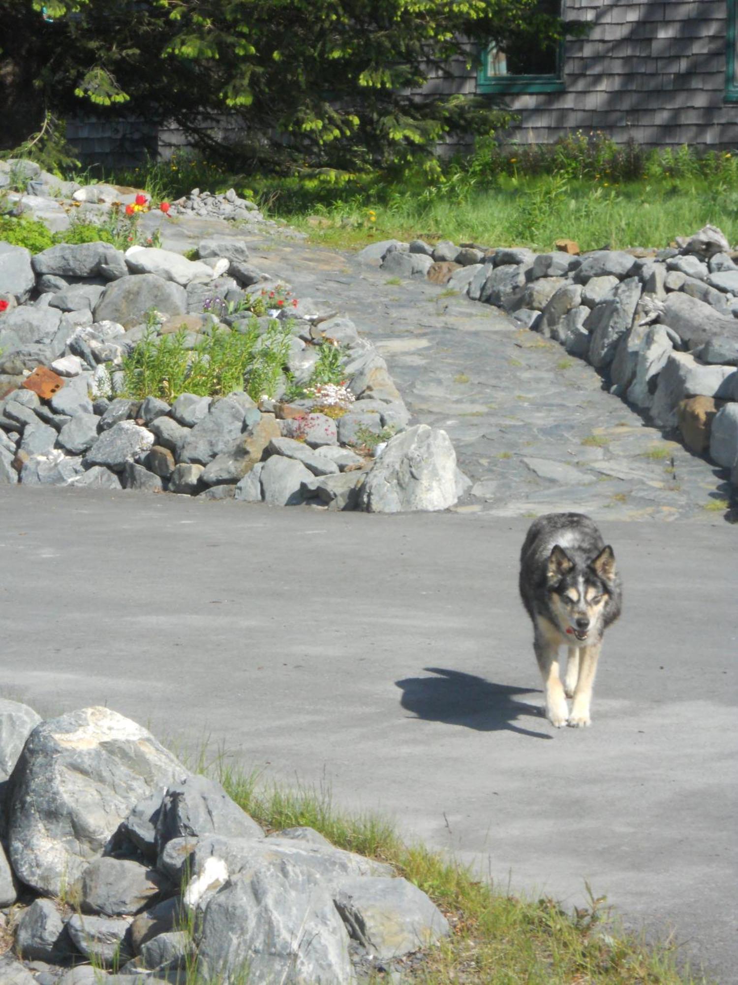 Seward Front Row Bed And Breakfast Екстериор снимка